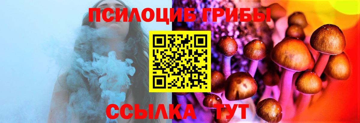 Галлюциногенные грибы Cubensis  Вход с VPN  Улан-Удэ 